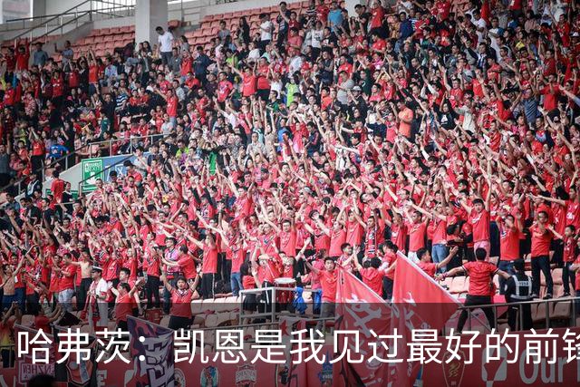 哈弗茨:凯恩是我见过最好的前锋之一;谁进球并不重要